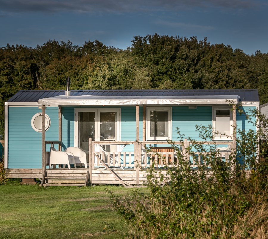 Boslodge huisjes in de omgeving van Raalte