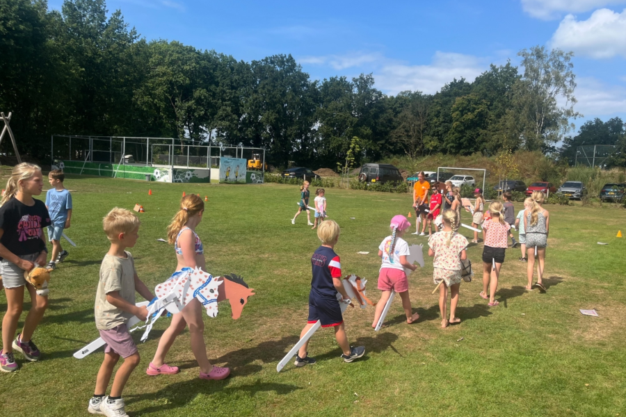 stokpaarden races vakantiepark de Luttenberg