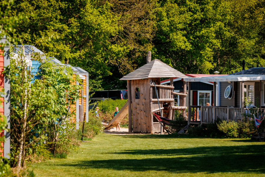 20250428 Ewald Geerdink Luttenberg 0155 8 H0 A4140 CR3 Pure