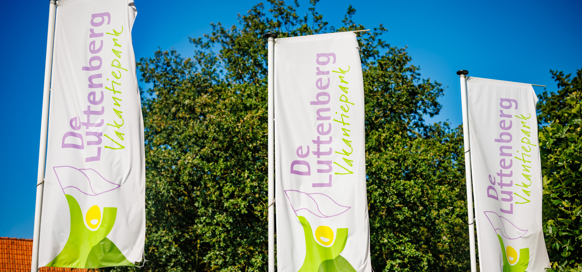 Vlaggen van vakantiepark de Luttenberg in de omgeving van de Sallandse heuvelrug