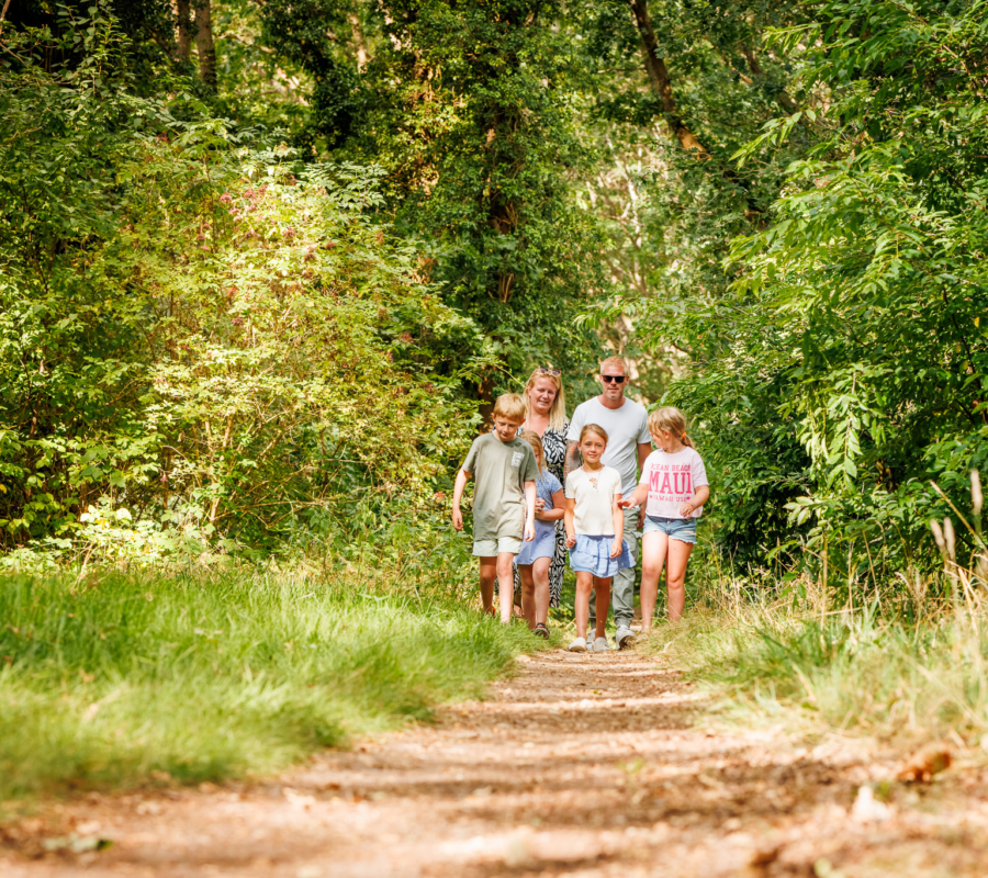 Naastgelegen bos vakantiepark de Luttenberg