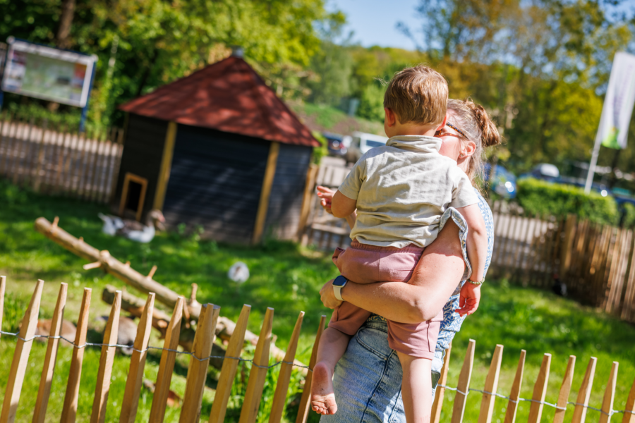 Ouder en kind kijken naar de dieren bij de ingang van het vakantiepark