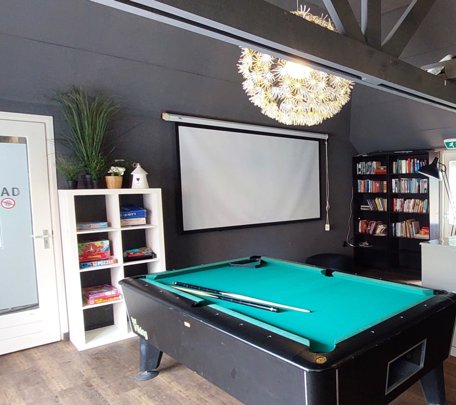 Bibliotheekservice en pooltafel de luttenberg