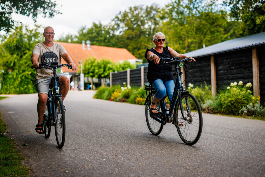 Rond fietsen in elektrische fietsen die u kunt huren