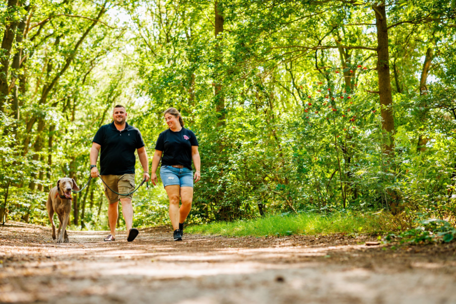 Campingplatz grenze holland mit hund