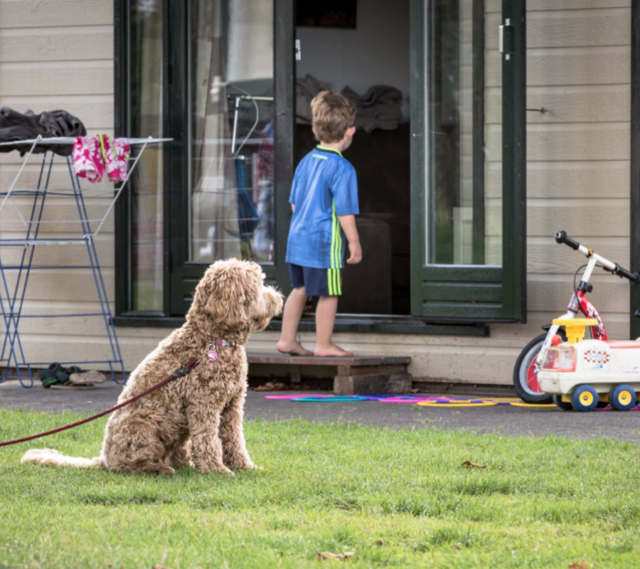 Vakantiepark met hond