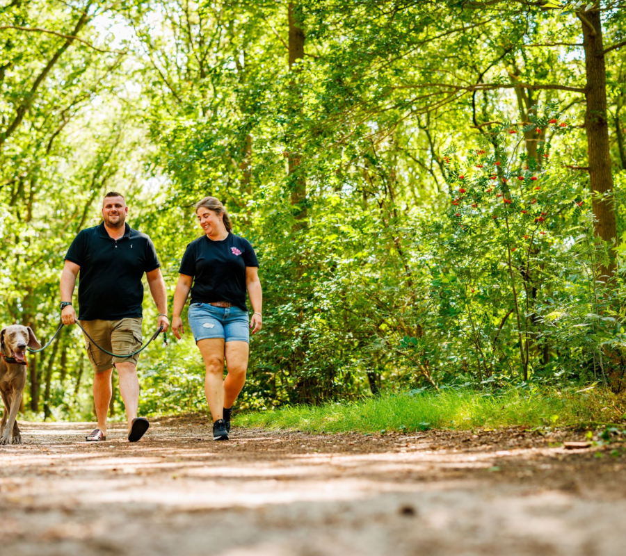 Campingplatz grenze holland mit hund