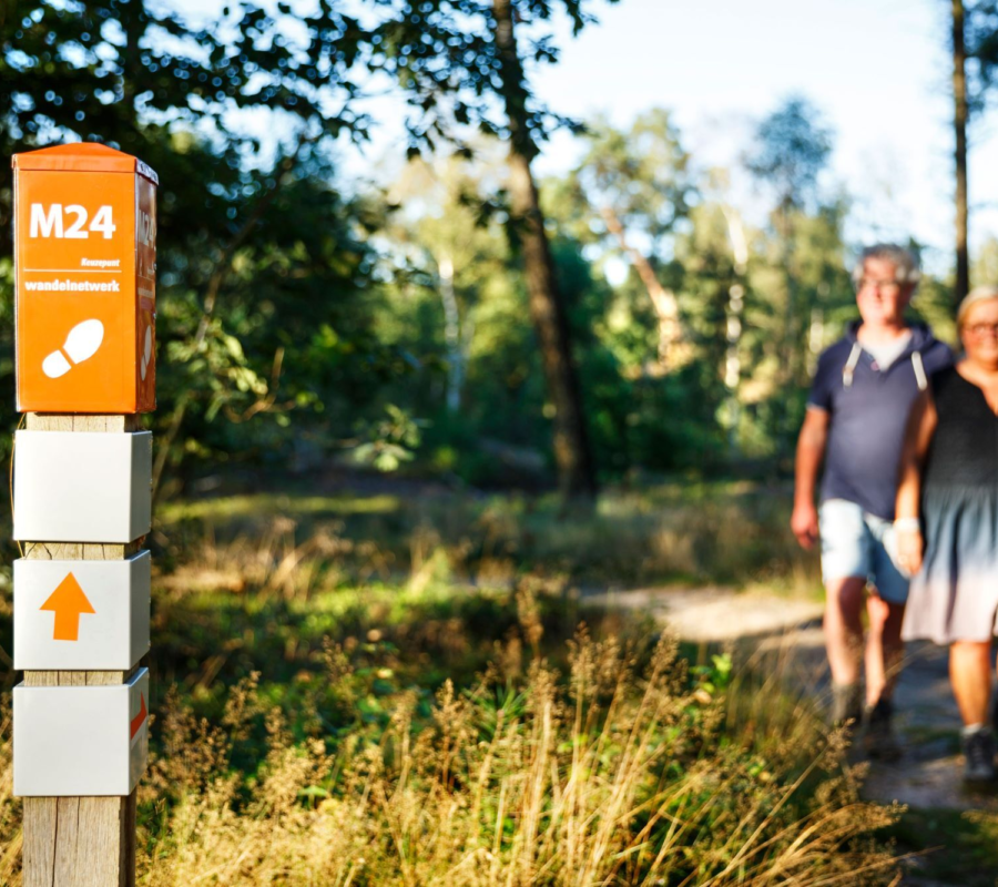 Wandern bungalowpark luttenberg