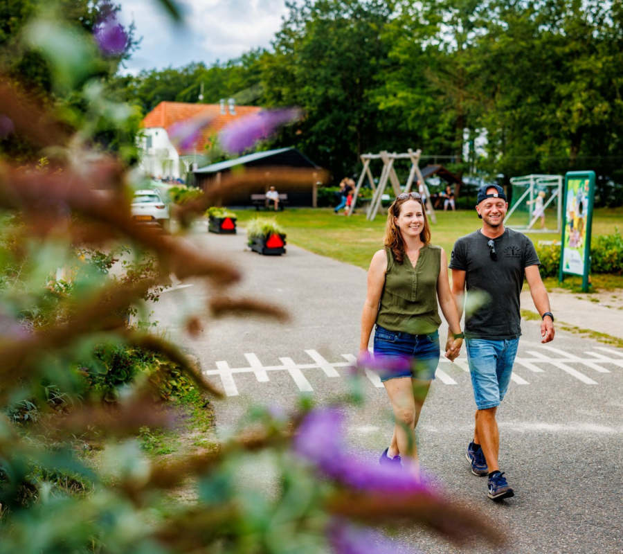Ferienpark zwolle natur