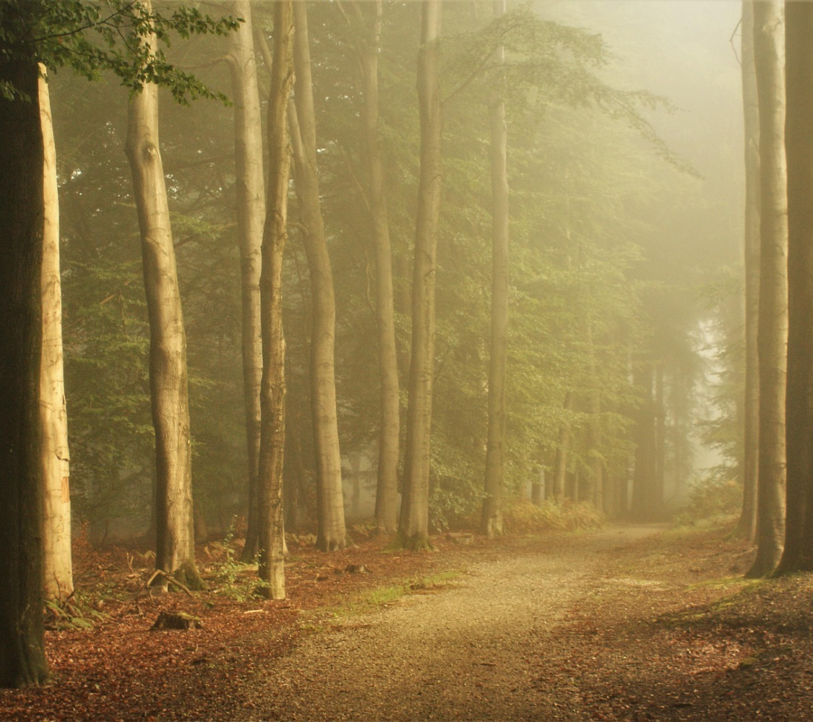 Camping mit hund holland salland luttenberg