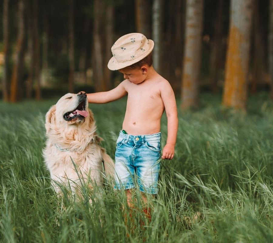 Camping mit hund holland luttenberg