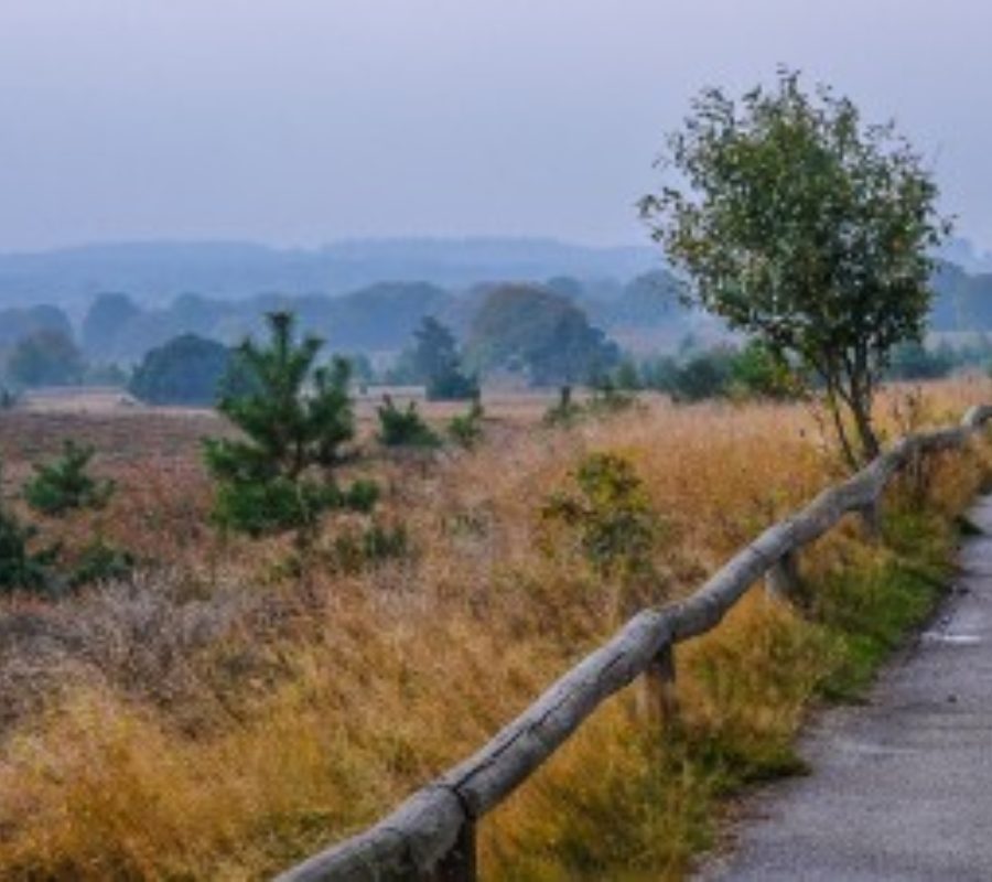 Holterberg uitkijkpunt dichtbij vakantiepark de luttenberg