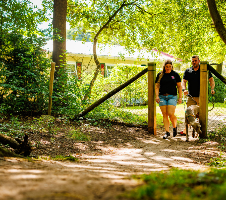 Vanaf de Luttenberg loopt een stel direct de natuur in