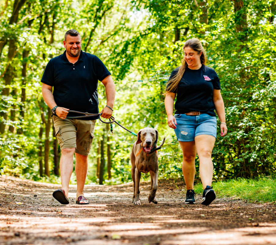 Stel dat wandelt door de natuur naast het vakantiepark in Luttenberg