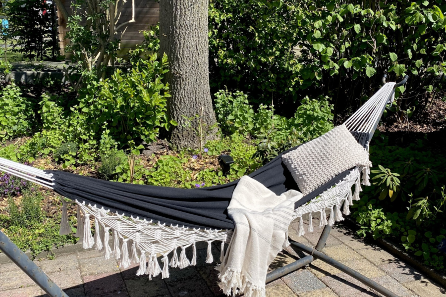 5bb8f2e3 1975 4b3e 80a1 40fdf9283fcc