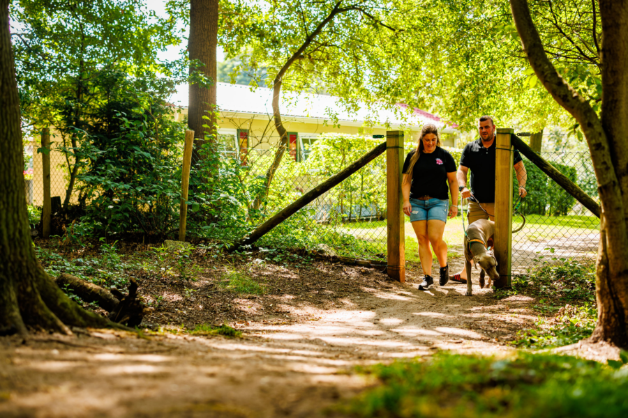Stel maakt een natuurwandeling in de buurt van Almelo