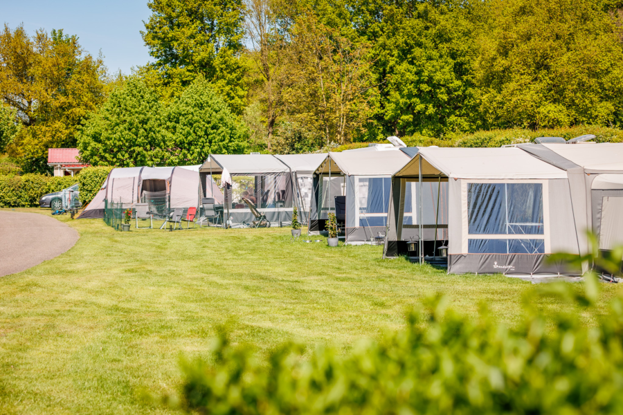 20250428 Ewald Geerdink Luttenberg 0158 8 H0 A4161 CR3 Pure